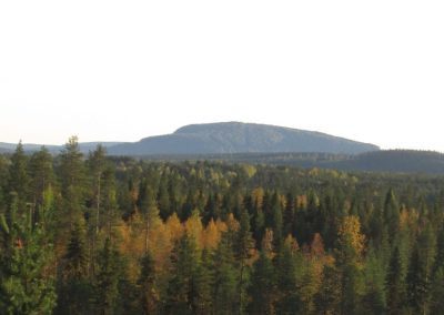 Nuoriso-Leaderin ajankohtaiset uutiset