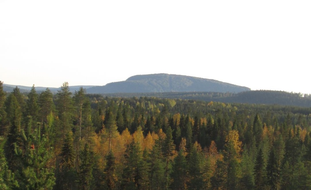 Nuoriso-Leaderin ajankohtaiset uutiset